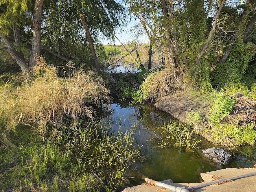 Overgrown drainage channel under a low concrete crossing.