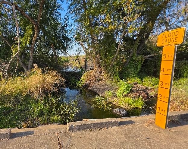 Flood gauge beside an overgrown drainage channel in the Redwood area.