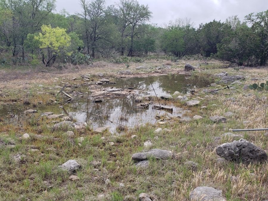 Shallow wetland pool among limestone rocks and grasses.